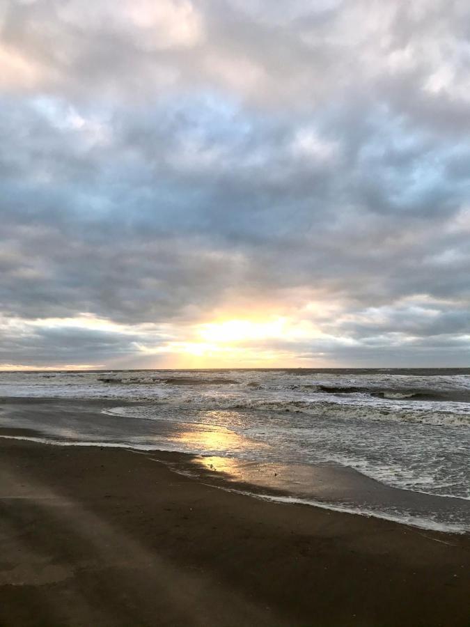 Hippocampus aan Zee Hotel Katwijk aan Zee Bagian luar foto